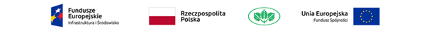 Europejski Fundusz Spójności