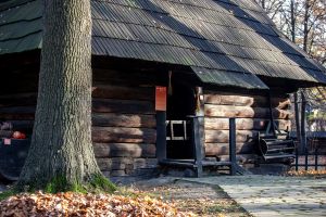 Otwarcie skansenu i zagrody żubrów