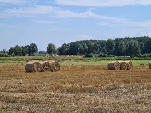 Wsparcie dla rolników poszkodowanych przez COVID-