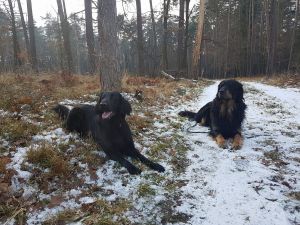Apelują o zrezygnowanie z fajerwerków