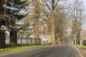 Nowa nawierzchnia na odcinku ulicy Wolności w Rud