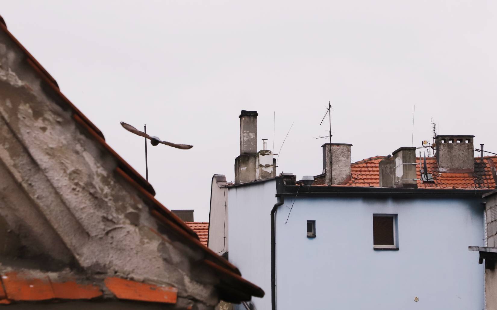 Powstanie Centralna Ewidencja Emisyjności Budynk
