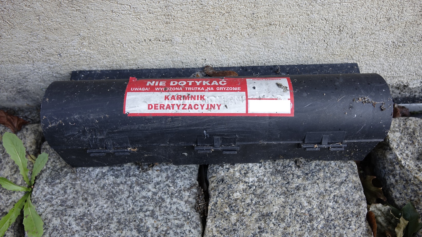Obowiązkowa akcja deratyzacji od 13 października