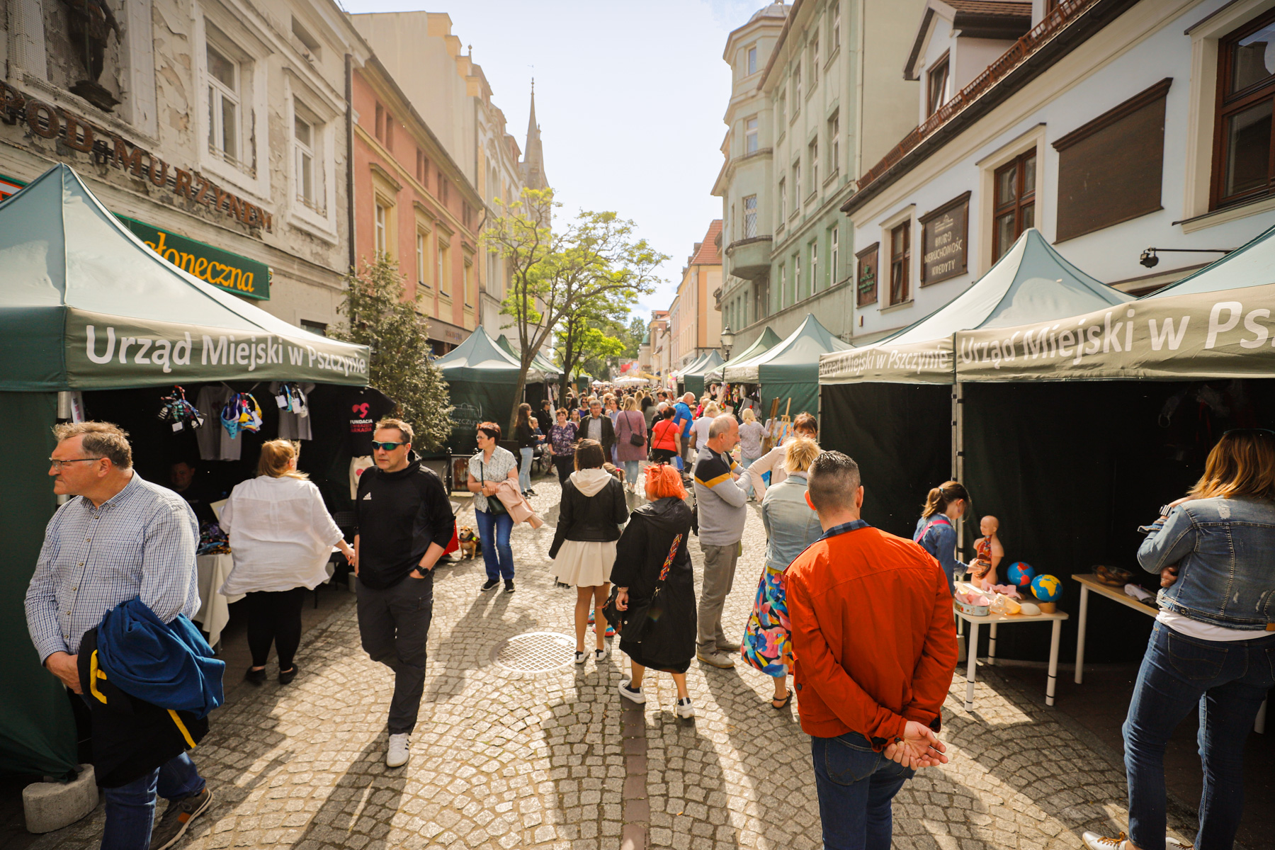 Festiwal Pszczyńskich Organizacji Pozarządowych 