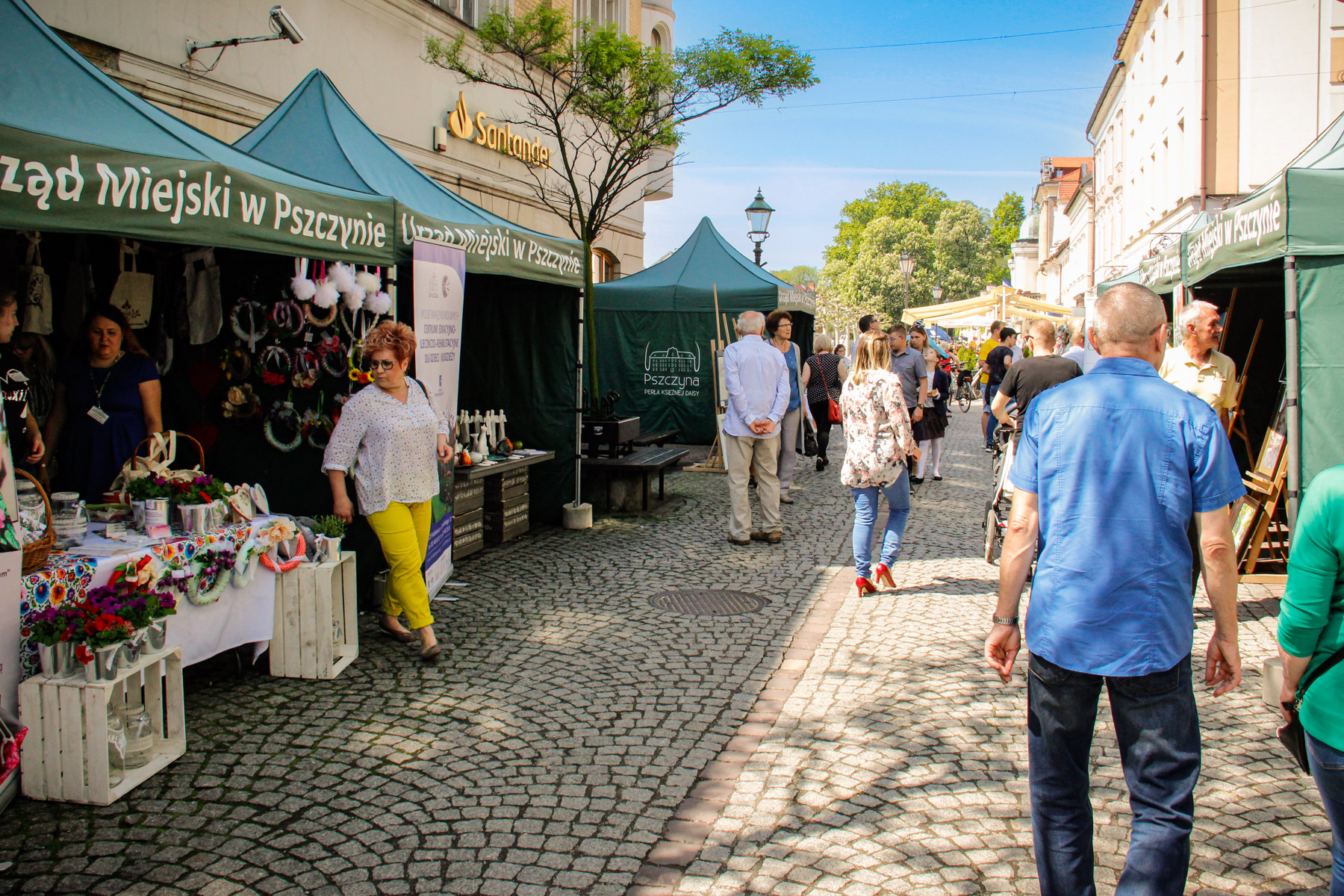 Festiwal Organizacji Pozarządowych w niedzielę w