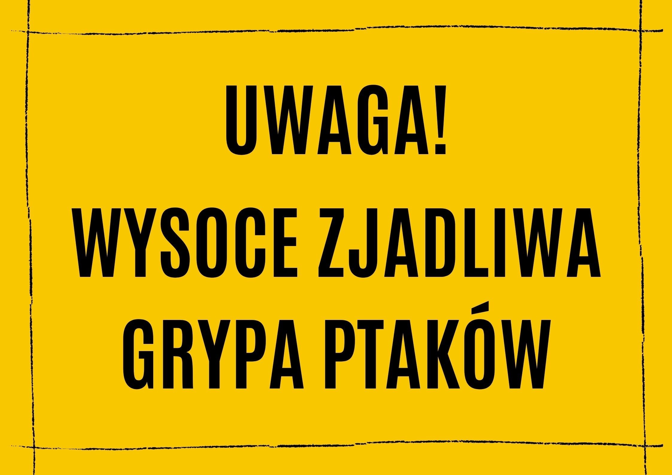 Wysoce zjadliwa grypa ptaków na terenie powiatu