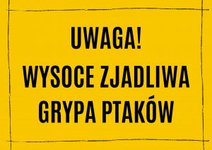 Wysoce zjadliwa grypa ptaków na terenie powiatu