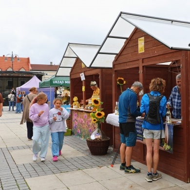 XV Śląskie Dni Miodu - 03.08.2025 