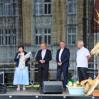 XV Śląskie Dni Miodu - 03.08.2025 