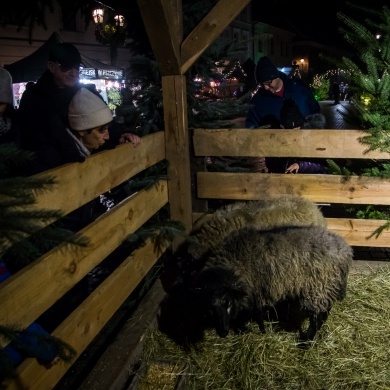 Pszczyński Jarmark Świąteczny Dzień 1 - 19.12.2025