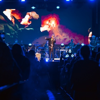 Dni Pszczyny Festiwal 2026 