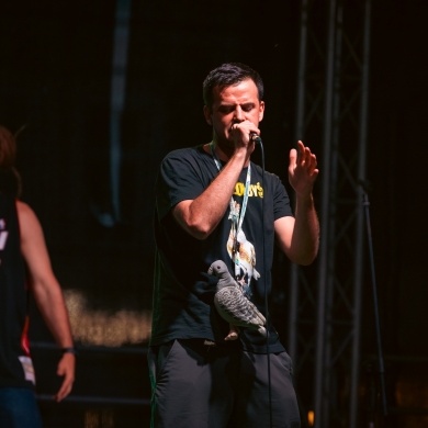 Dni Pszczyny Festiwal 2026 