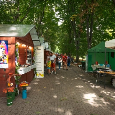 Dni Pszczyny Festiwal 2026 