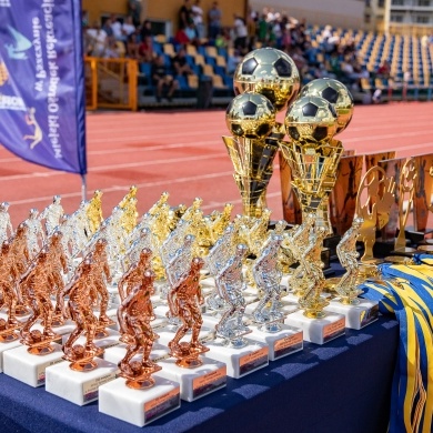 Dni Pszczyny Festiwal 2026 