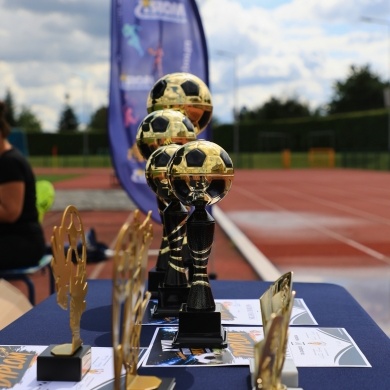 Dni Pszczyny Festiwal 2026 