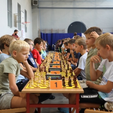 Dni Pszczyny Festiwal 2026 