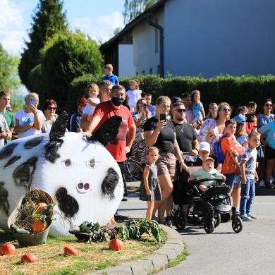 Dożynki Gminne w Jankowicach - 29.08.2026