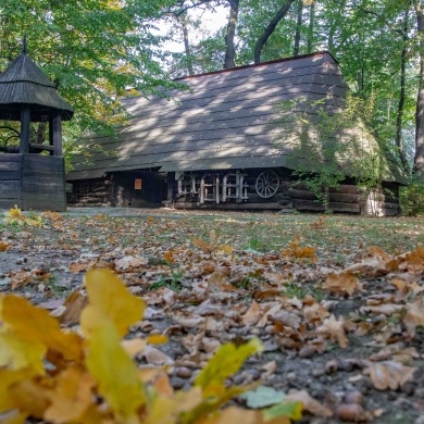 Pszczyna, 6 październik 2026 r.