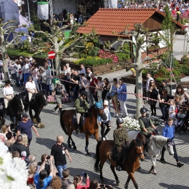 Majówka Konna 2019