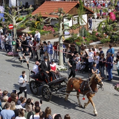 Majówka Konna 2019