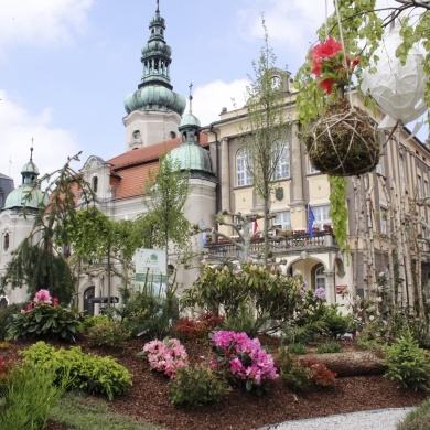 Daisy Days 2019
