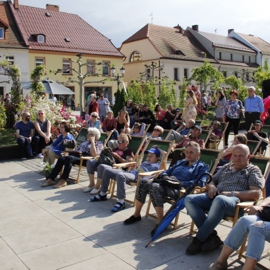 Daisy Days 2019