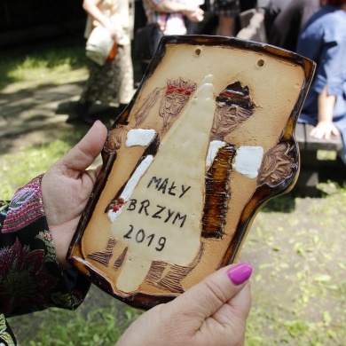Mały Brzym 2019