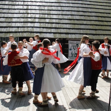 Mały Brzym 2019