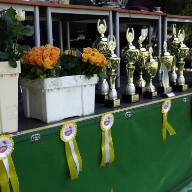 Zawody Konne w skokach przez przeszkody Pless Cup 2019