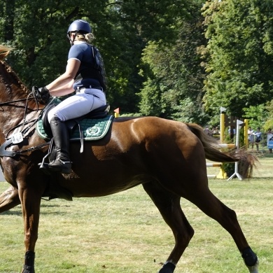 Zawody Konne w skokach przez przeszkody Pless Cup 2019