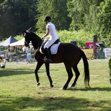 Zawody Konne w skokach przez przeszkody Pless Cup 2019