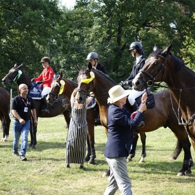 Zawody Konne w skokach przez przeszkody Pless Cup 2019