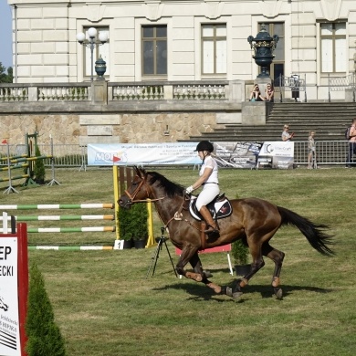Zawody Konne w skokach przez przeszkody Pless Cup 2019
