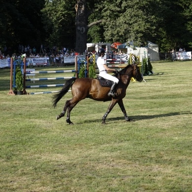 Zawody Konne w skokach przez przeszkody Pless Cup 2019