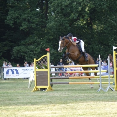Zawody Konne w skokach przez przeszkody Pless Cup 2019