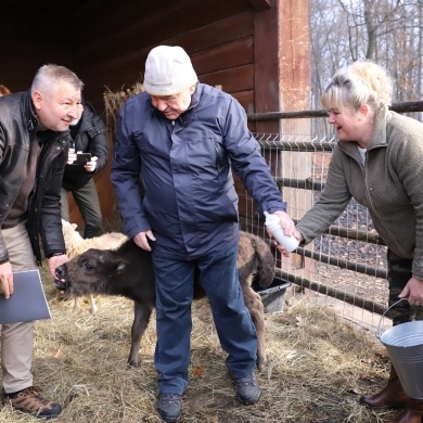 Nowy mieszkaniec Pokazowej Zagrody Żubrów