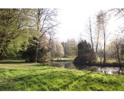 Park Zamkowy w Pszczynie - 20.04.2020