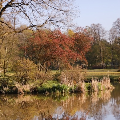 Park Zamkowy w Pszczynie - 20.04.2020