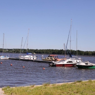 Półkolonie w Pszczynie