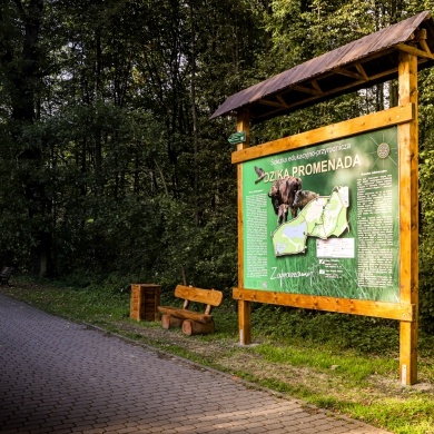 Ścieżka edukacyjna w Parku Zwierzyniec w Pszczynie - 21.10.2020