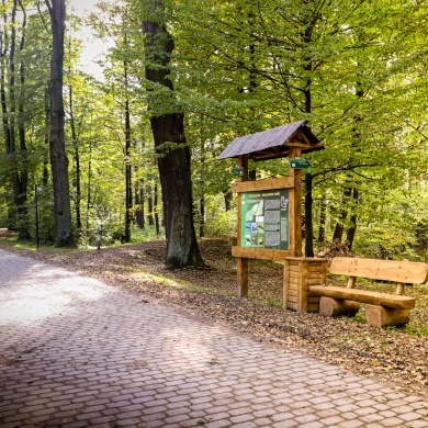 Ścieżka edukacyjna w Parku Zwierzyniec w Pszczynie - 21.10.2020