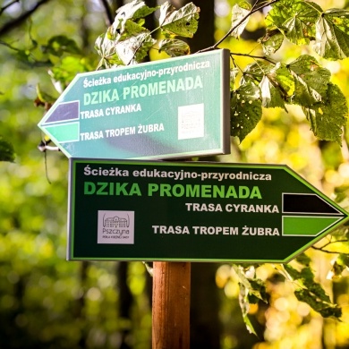 Ścieżka edukacyjna w Parku Zwierzyniec w Pszczynie - 21.10.2020