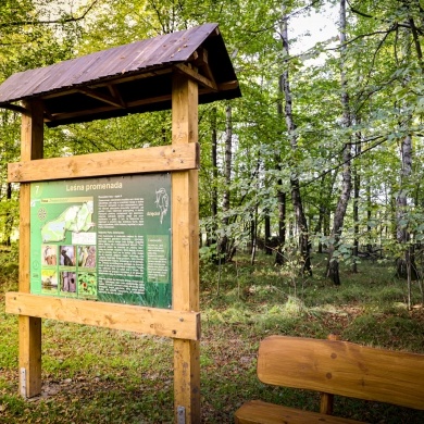 Ścieżka edukacyjna w Parku Zwierzyniec w Pszczynie - 21.10.2020