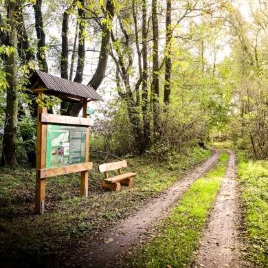 Ścieżka edukacyjna w Parku Zwierzyniec w Pszczynie - 21.10.2020