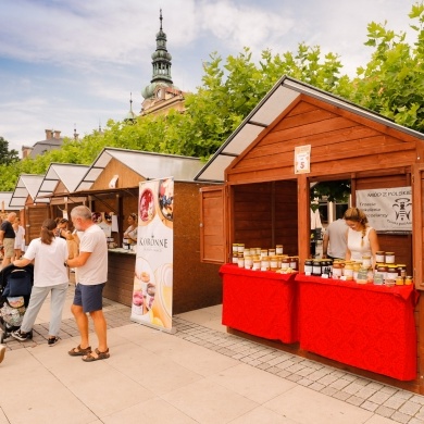 XI Śląskie Dni Miodu w Pszczynie - 31.07.2021