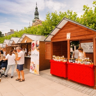 XI Śląskie Dni Miodu w Pszczynie - 31.07.2021