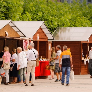 XI Śląskie Dni Miodu w Pszczynie - 31.07.2021