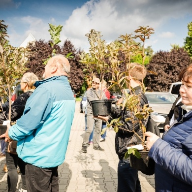 Inicjatywa wręczania mieszkańcom krzewów powiązana z akcją Gramy czysto! #smogover - 21.09.2021