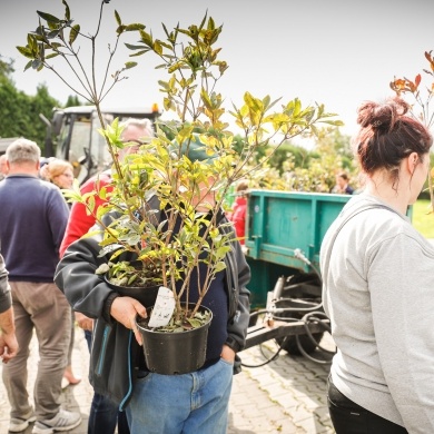 Inicjatywa wręczania mieszkańcom krzewów powiązana z akcją Gramy czysto! #smogover - 21.09.2021