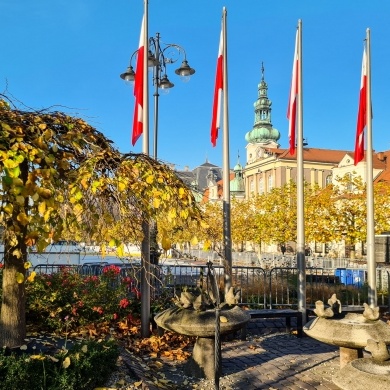 Biało-czerwone flagi na ulicach Pszczyny - 10.11.2021